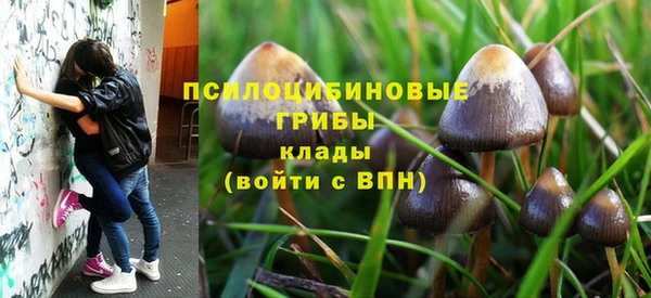 apvp Баксан
