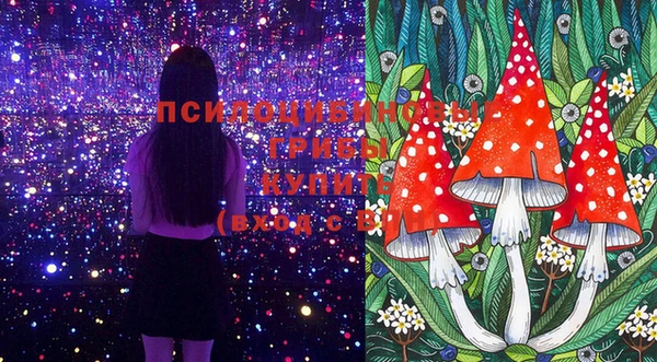 apvp Баксан