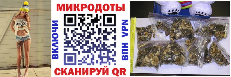 сколько стоит  Камышлов  Галлюциногенные грибы Magic Shrooms 
